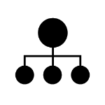 Máxima Compatibilidad